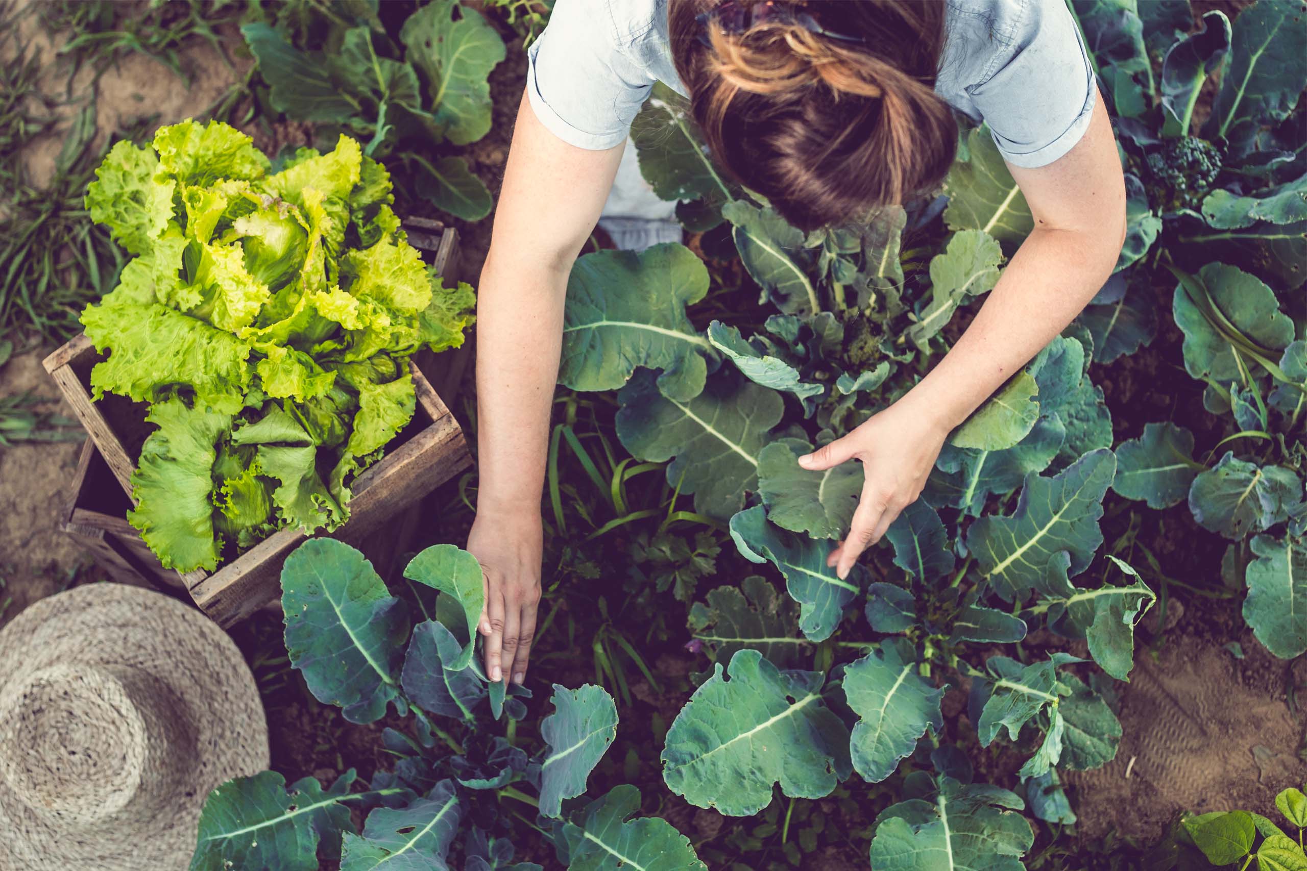 A sustainable difference