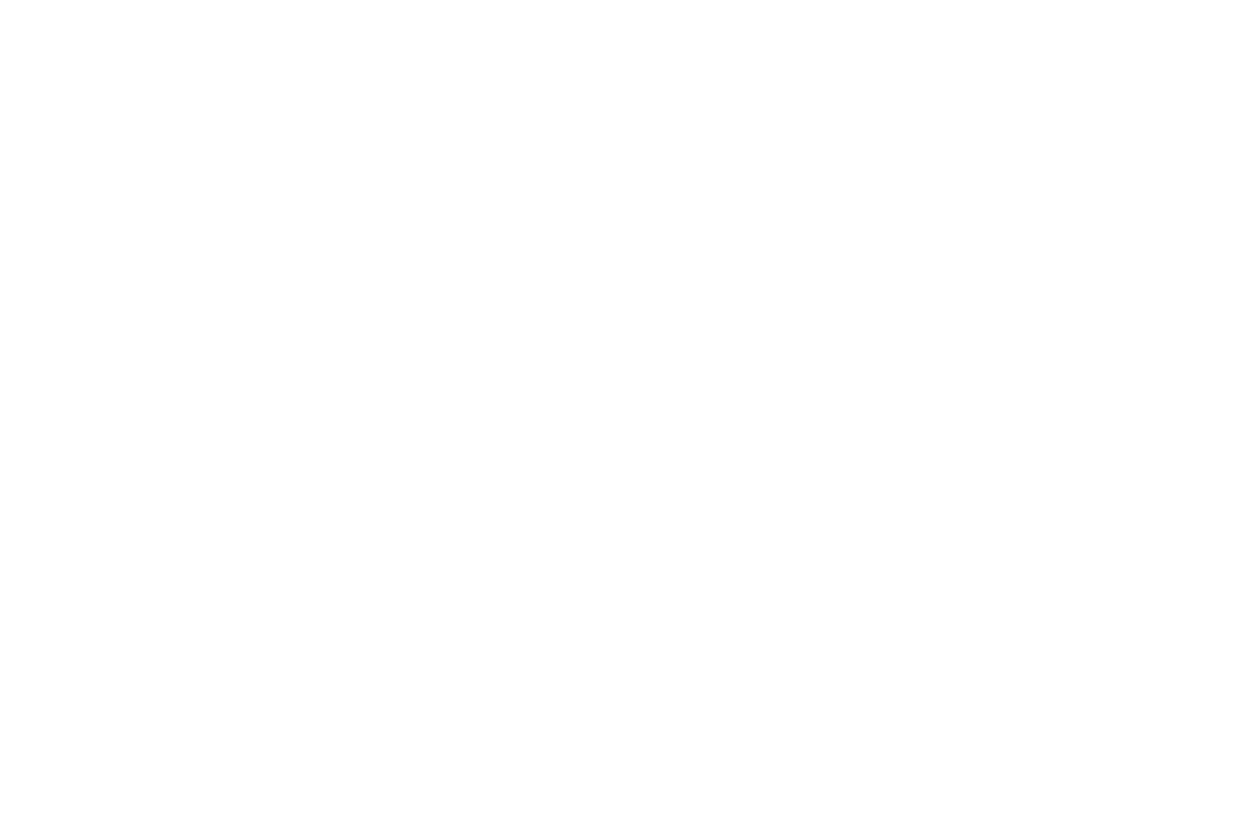 DSI Dantech values