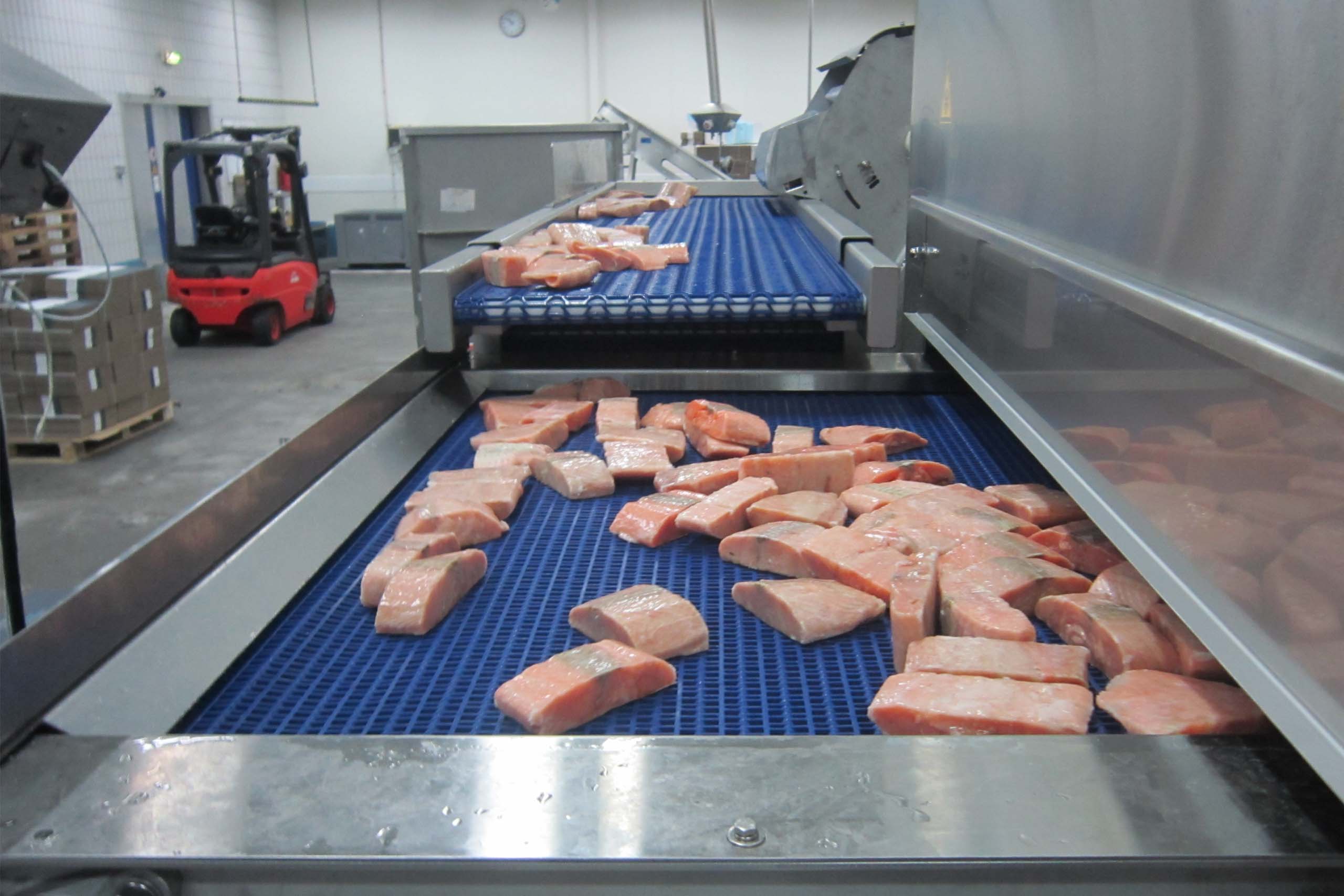 Cryogenic freezing of fish and seafood