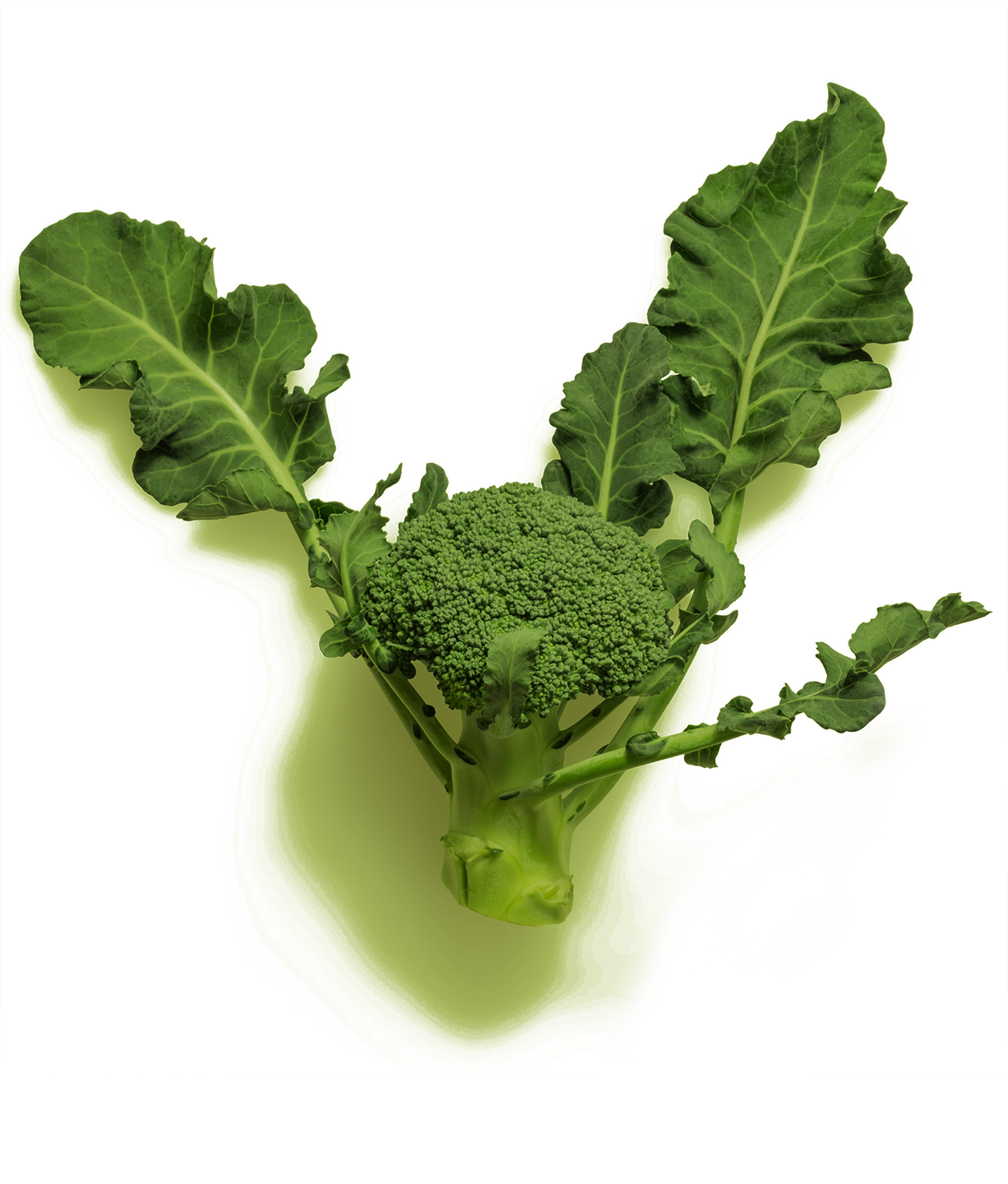 Fruit & vegetables