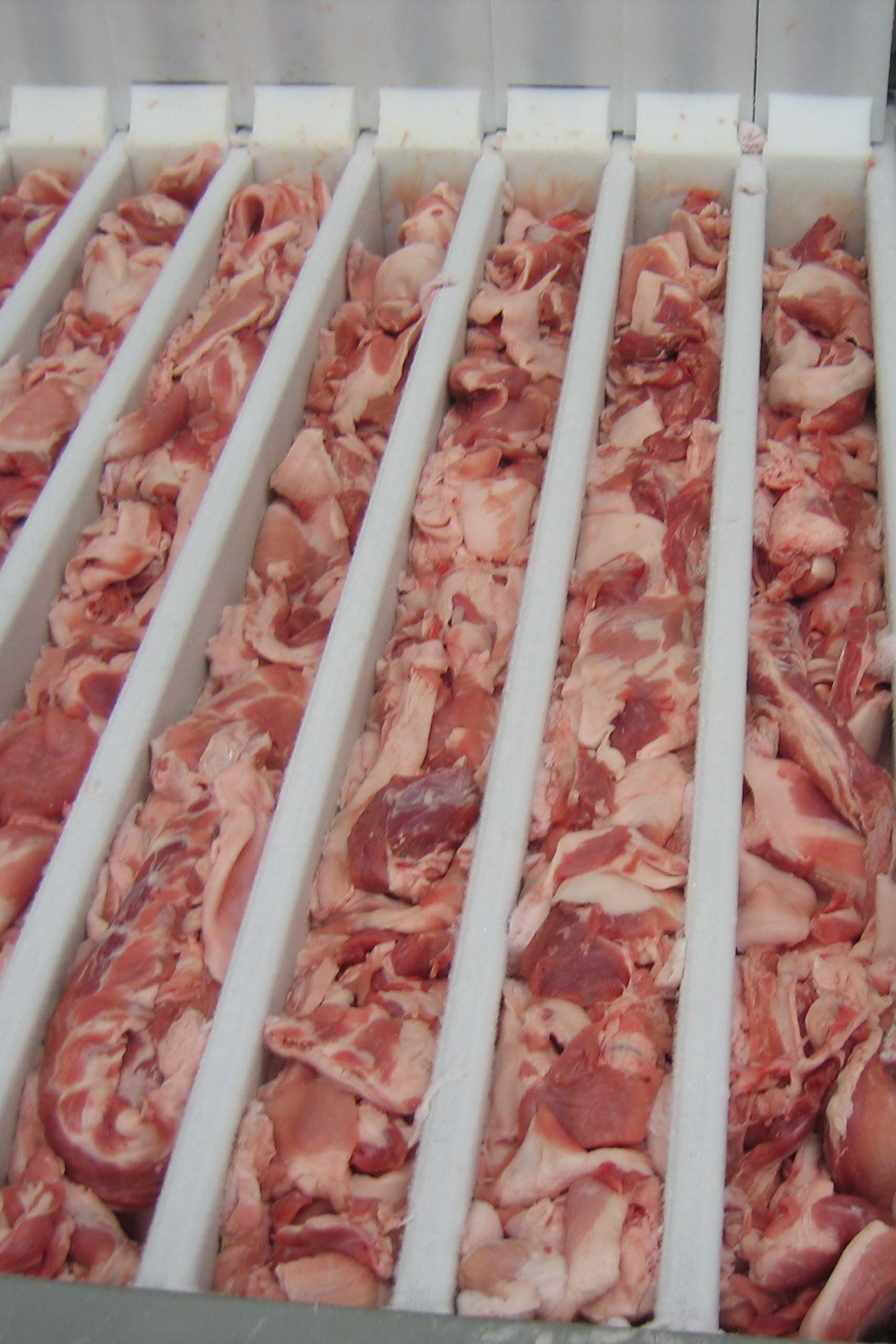 Plate freezing of by-products for petfood