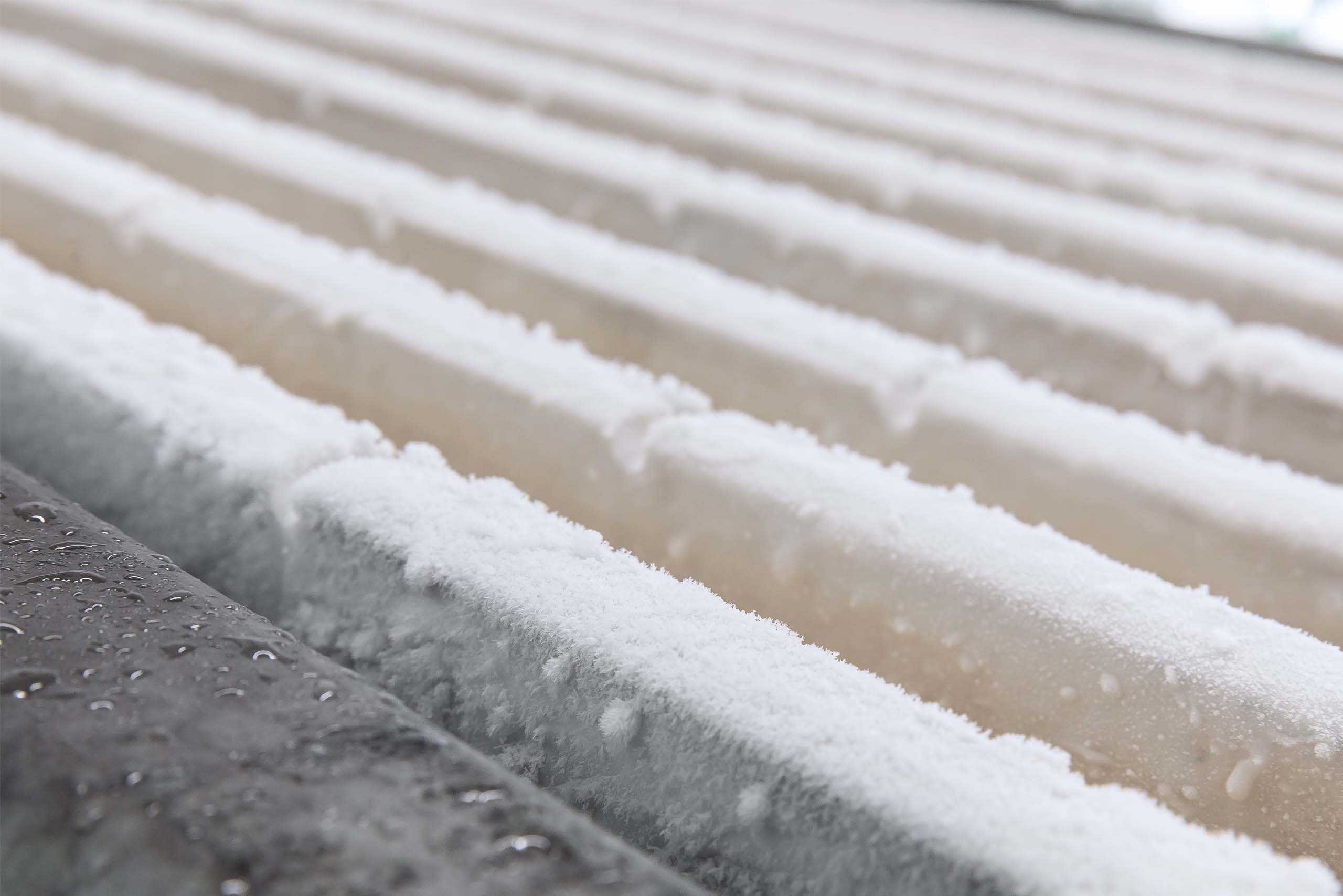 Vertical plate freezing process
