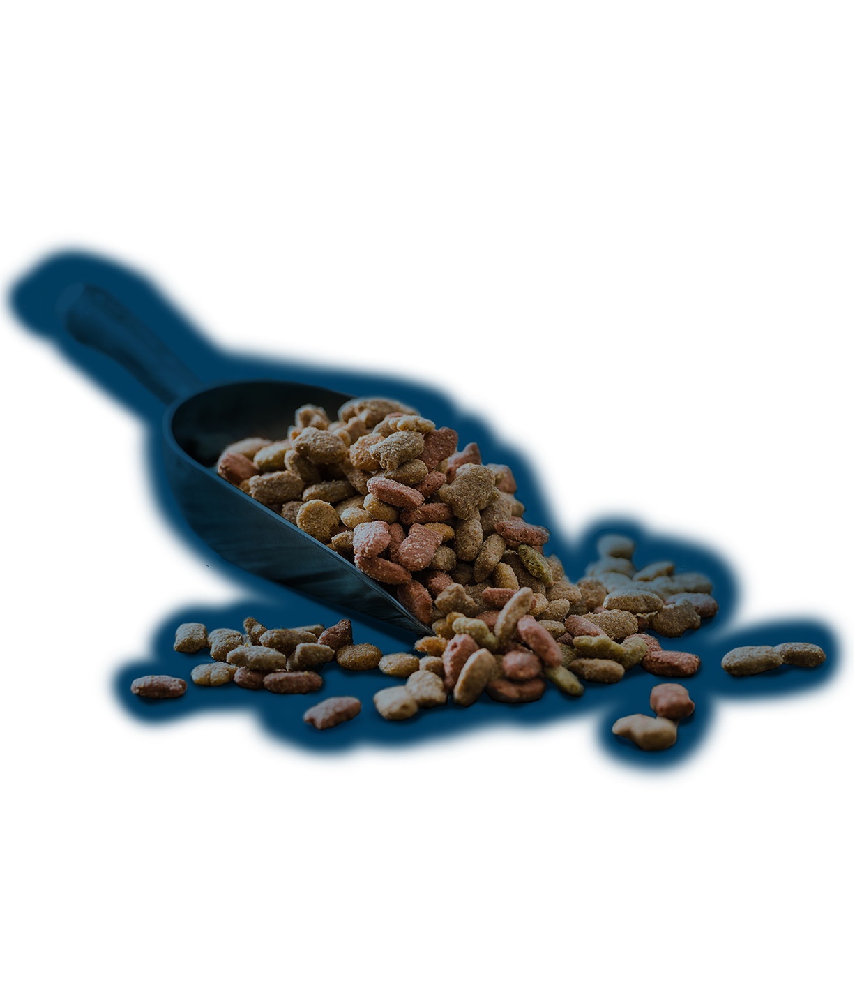Pet food