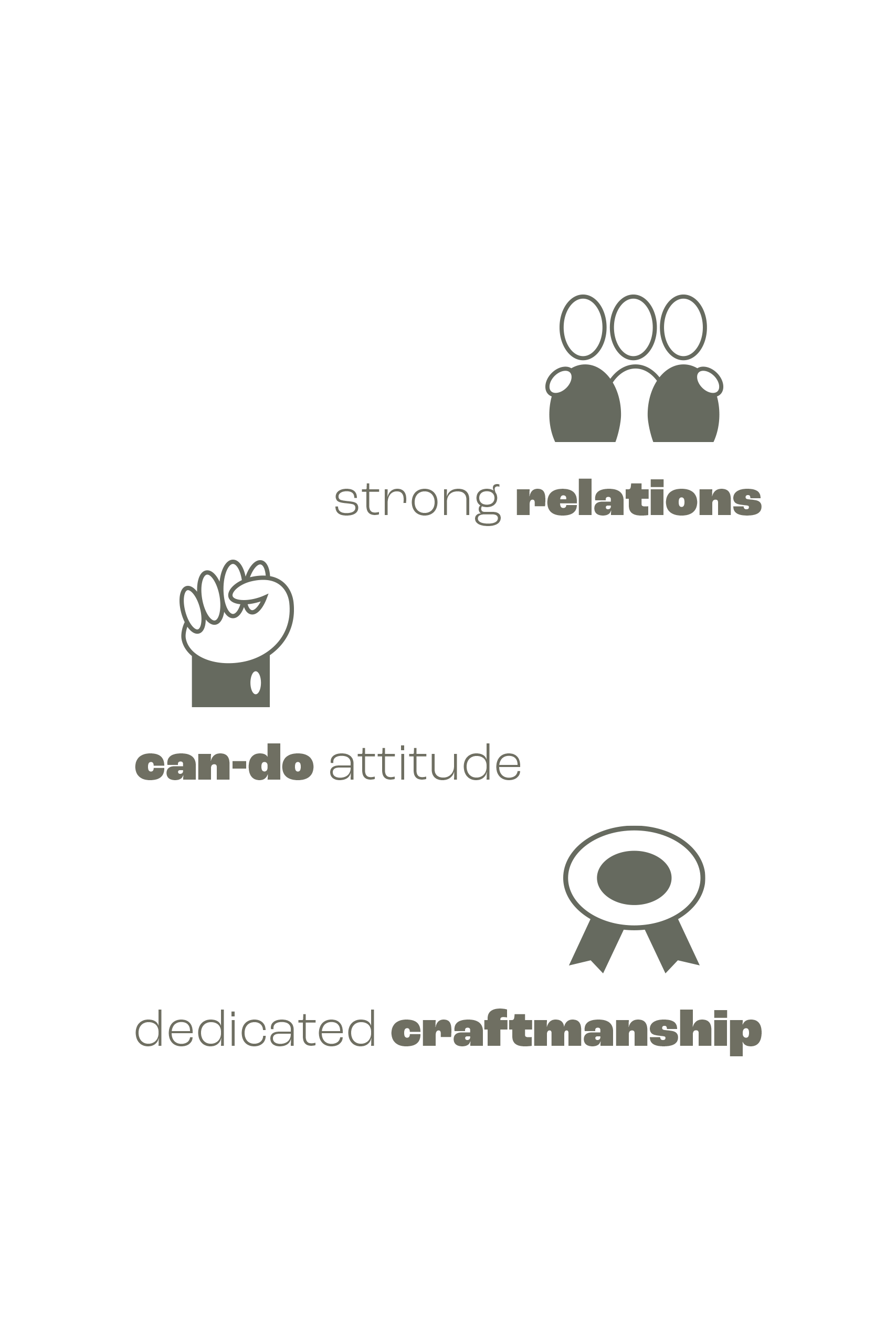DSI Dantech values